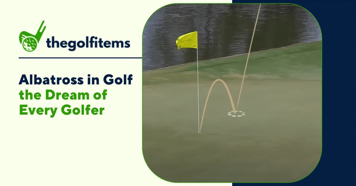 Albatross in Golf the Dream of Every Golfer TheGolfItems